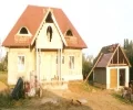 Zdjęcie z galerii